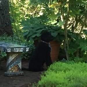 Meet your Posher, Kay